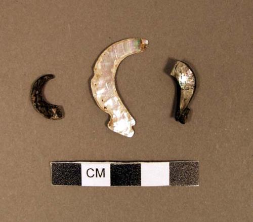 Shell ornaments, sickle-shaped