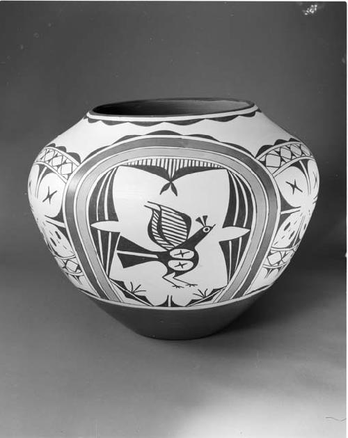 Polychrome-on-white olla; bird motif (995-29-10/73720)