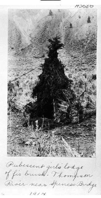 Pubescent girls lodge of fir brush. Thompson River near Spencer Bridge