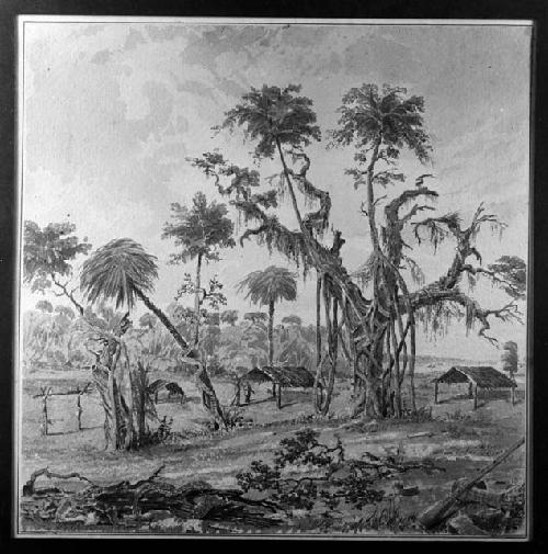 Copy of watercolor of Sam Jones Village in Florida, 1808-1875, by Seth Eastman.
