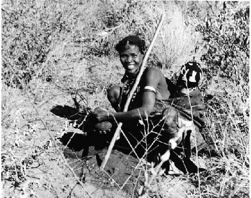 Woman digging up a root, with a baby tied to her back