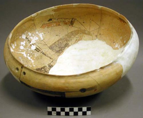 Bowl sherds--restorable. sikyatki