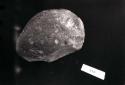 Stone pebble implement (56-30-20/21087)