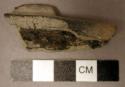 Fragment of pottery pipe