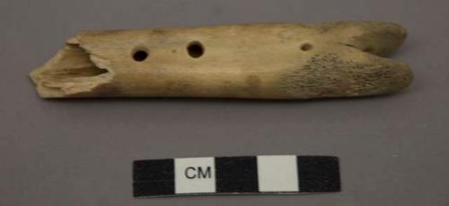 Perforated bone object