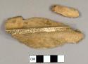 Faunal bone fragments