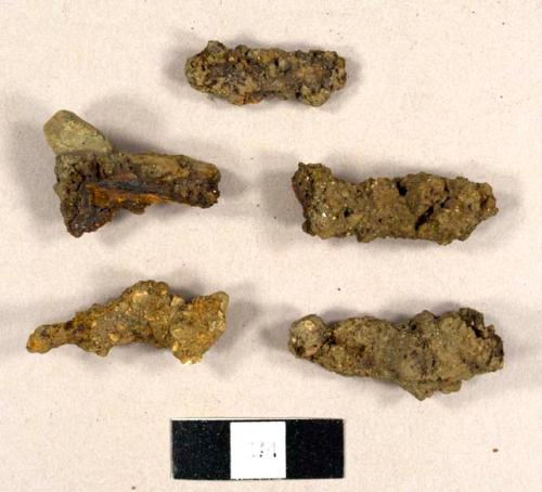 Nails and nail fragments, including one possible T-headed nail