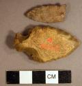 Chipped stone, projectile points, side-notched, one with cortex