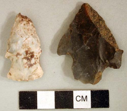 Chipped stone, projectile points, side-notched and stemmed