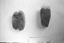 End-notcvhed potsherds  (56-30-20/21061)