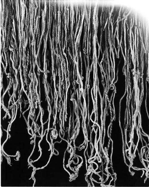 Quipu
