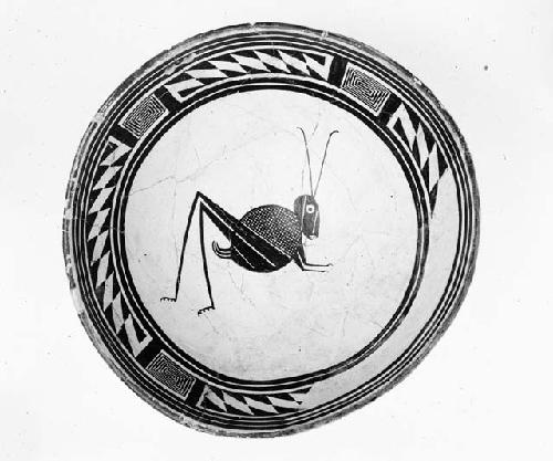 Ceramic Bowl with grasshopper design (25-11-10/94819)