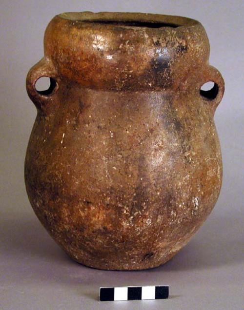 Water jar with ears