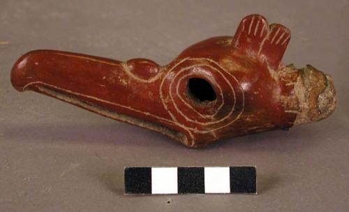 Bird's head in painted pottery