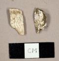 Faunal bone fragments