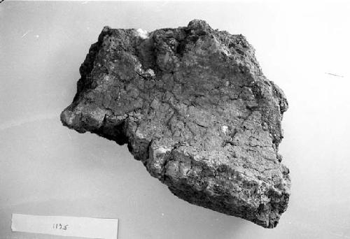 Large pole impression (burned clay and briquettes) (56-30-20/21178)