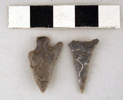 Chipped stone projectile points, 1 corner-notched, 1 lanceolate