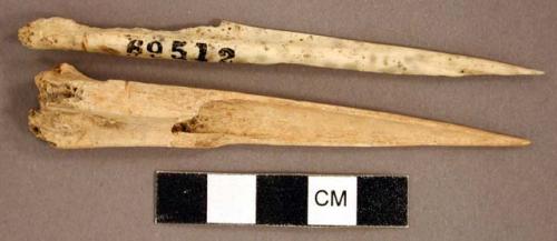 Organic, faunal remains, bone perforators, awls