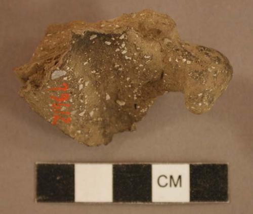 Ceramic, earthenware effigy sherd, possible bird