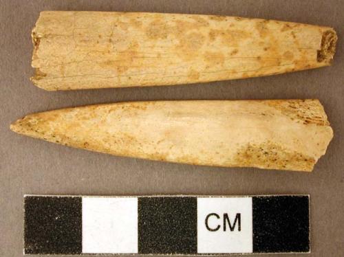 Organic, worked animal bone awl fragments