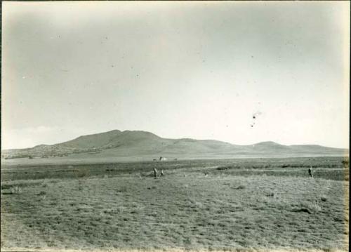 Scan of photograph from Judge Burt Cosgrove photo album.  Oct.Nov.1933 Pendleton Ruin.  East house before excavation