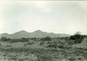 Scan of photograph from Judge Burt Cosgrove photo album.Oct.17-1933 Timberlake Ruin, west side of Playas Valley, Hildago Co. New Mex.