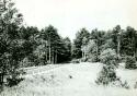 Scan of photograph from Judge Burt Cosgrove photo album.  July-1933 Going west from Cambridge on Mohawk trail near Gardner Mass.