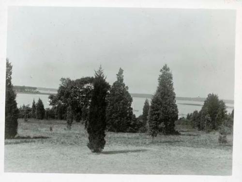 Scan of photograph from Judge Burt Cosgrove photo album.July 1931 Buzzards Bay from W.H.Claflin Jr. Cottage, East Marion Mass.