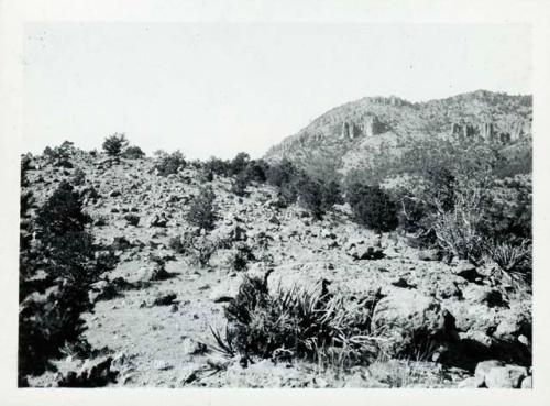 Scan of photograph from Judge Burt Cosgrove photo album.Trail to Saddle Mt. Pueblo Creek. Catron Co N.Mex 10-26-30