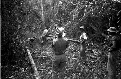 Field, workers, equipment.