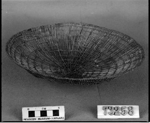 Eel tray or stick plate from the collection of G. Nicholson and C. Hartman. Open, plain twined.