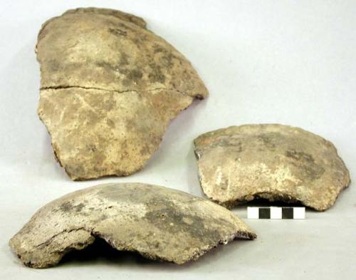 Ceramic rim and body sherds,  plain, shell temper, mended