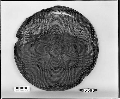 Tray, from the collection of G. Nicholson. Coiled.