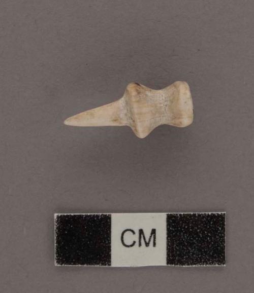 Shell pin. Period IV (exhibit note)