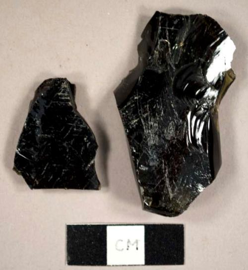 Brown bottle glass fragments