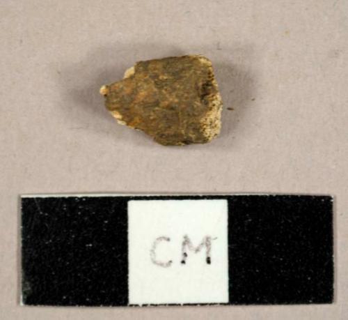 Faunal bone fragment