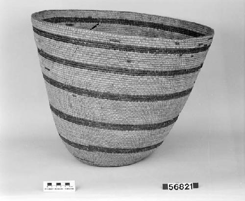 Burden or food basket from the collection of F.W. Putnam, 1901