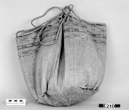 Handled bag from the collection of T.H. Endicott