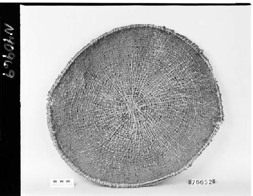 Fish tray, from the collection of G. Nicholson and C. Hartman