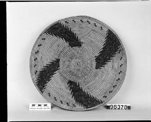 Tray. Coiled, three-rod foundation.