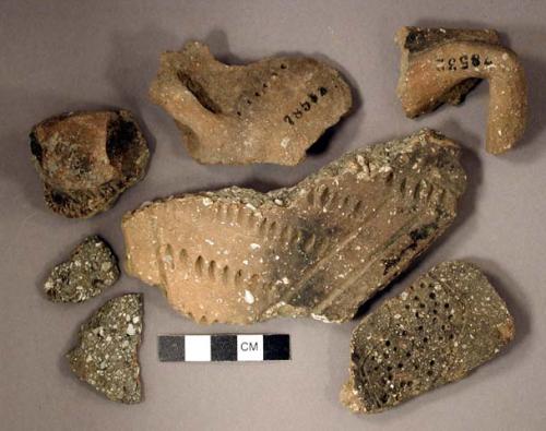 Ceramic, earthenware rim and body sherds, shell-tempered, incised, punctate, cord-impressed, and dentate, strap handles