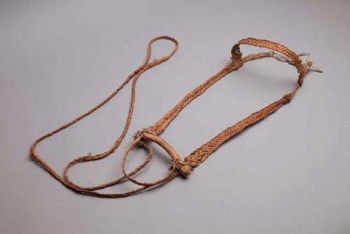 Horse bridle