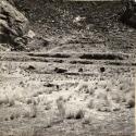 Photograph of Pucara ruins; temple excavated in 1939, 1937