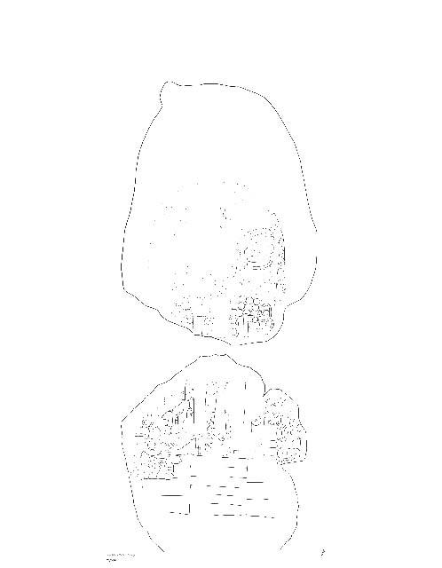 Drawing of Uaxactun, Stela 14, front