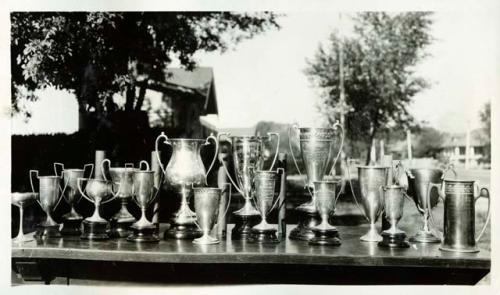 Scan of page from Judge Burt Cosgrove photo album.Cups won by Beta Phi of Sigma Chi.