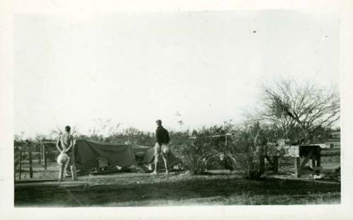 Scan of photograph from Judge Burt Cosgrove photo album.Burtons Camp. Casa Grande Ariz. "Library and office tent after wind storm March-1927.