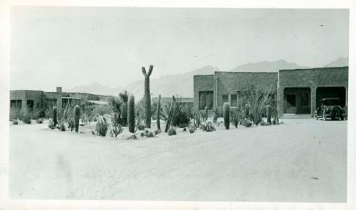 Scan of photograph from Judge Burt Cosgrove photo album.Desert Sanatorium Tucson Ariz. Oct. 1928 Santa Catolina Mts. in background