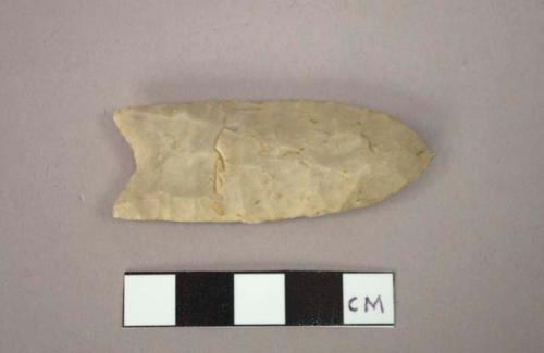 Stone projectile point, stemmed