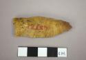 Stone projectile point, fluted