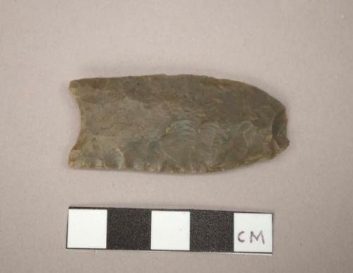 Bifurcate base projectile point